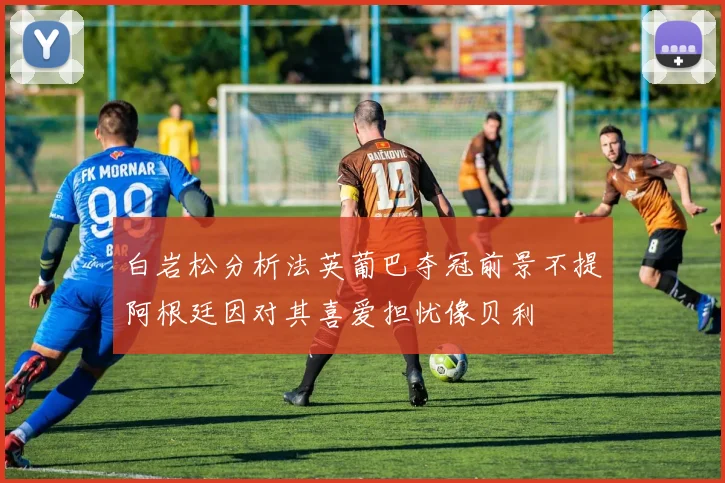 白岩松分析法英葡巴夺冠前景不提阿根廷因对其喜爱担忧像贝利