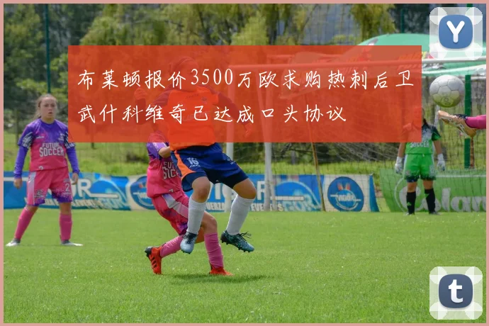 布莱顿报价3500万欧求购热刺后卫武什科维奇已达成口头协议