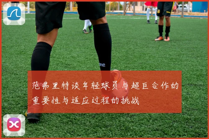 范弗里特谈年轻球员与超巨合作的重要性与适应过程的挑战